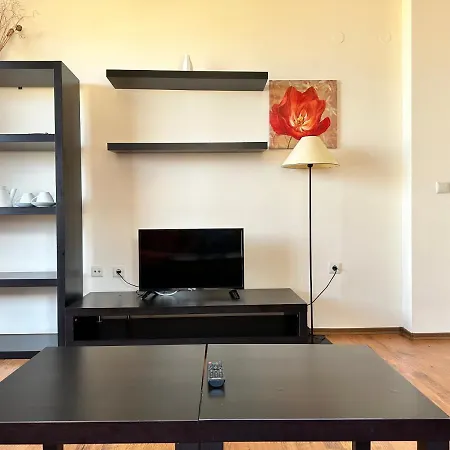 Neon Luxury Next To The Gondola バンスコ